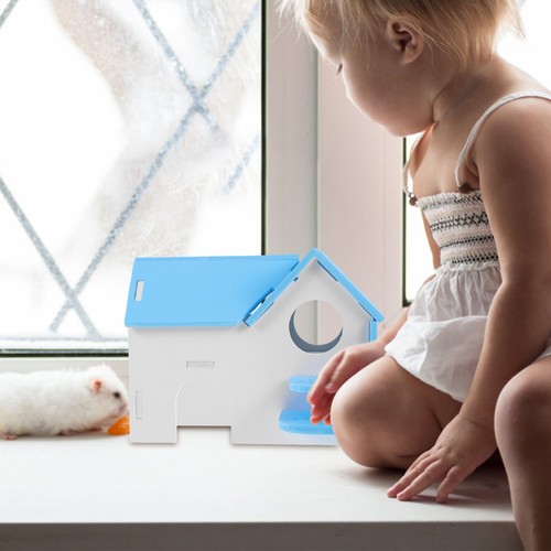 Hamster house with ladder - with,