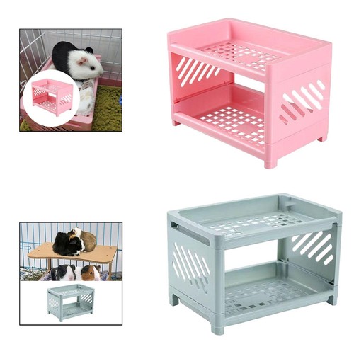 Guinea pig bed rabbit - rabbit,