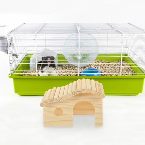 Dwarf hamster house diy wood - house,