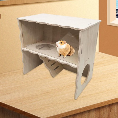 Guinea pig cottage hamster - guinea,