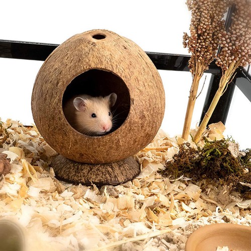 2pcs reusable coconut shell - 2pcs,