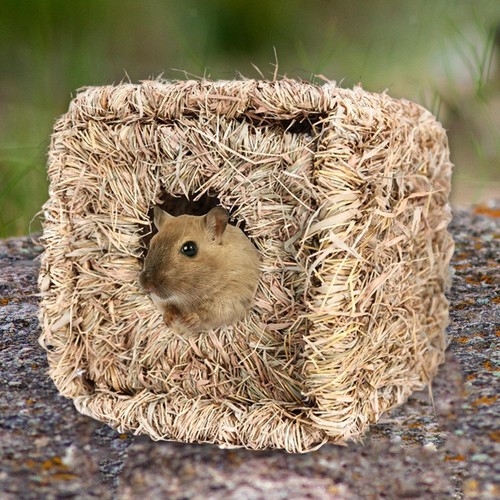 Small animals cage nest hut - cage,