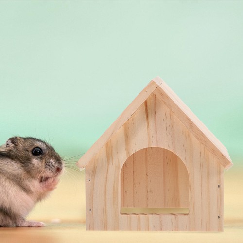 Hamster toy guinea pig - hamster,