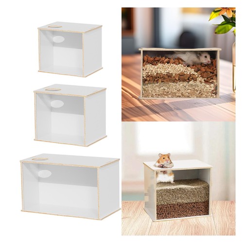 Hamster digging box burrow - digging,