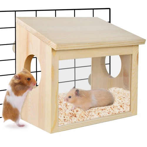 Hamster house landscaping - hamster,